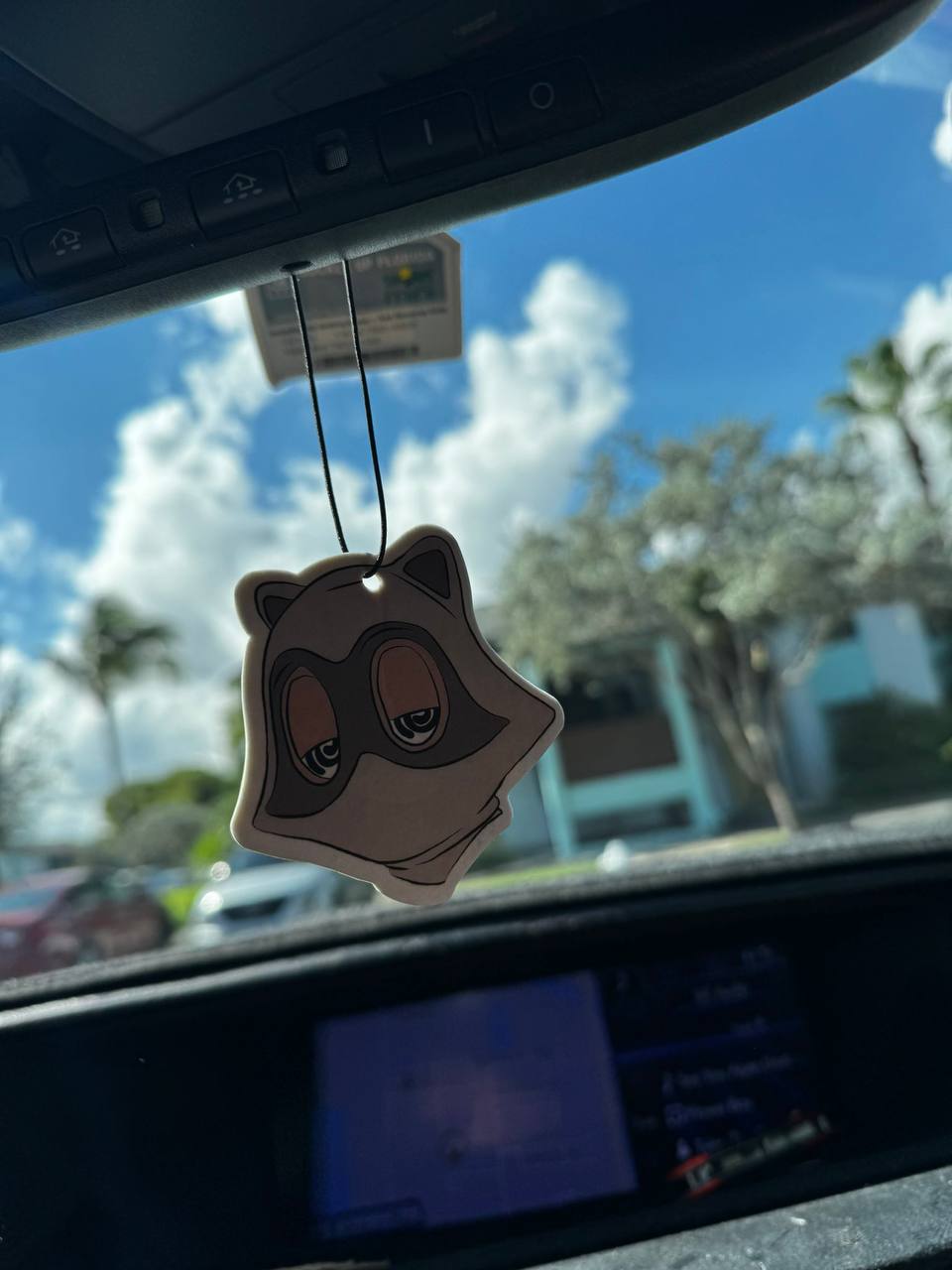 Beastly Breeze in car